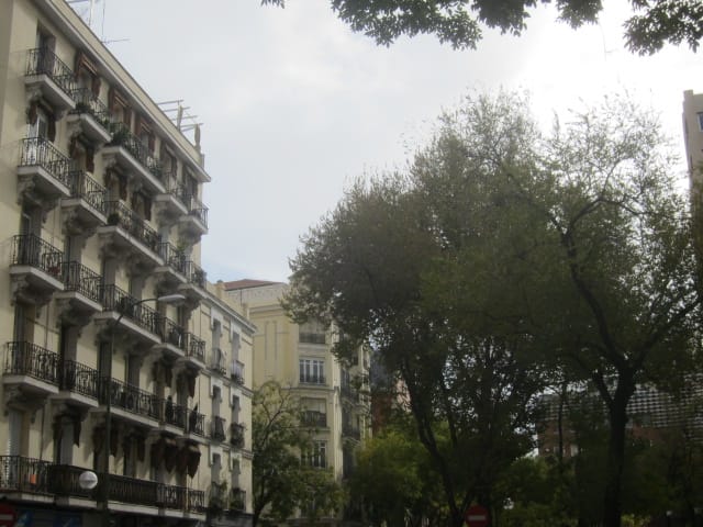El Horno photo 3