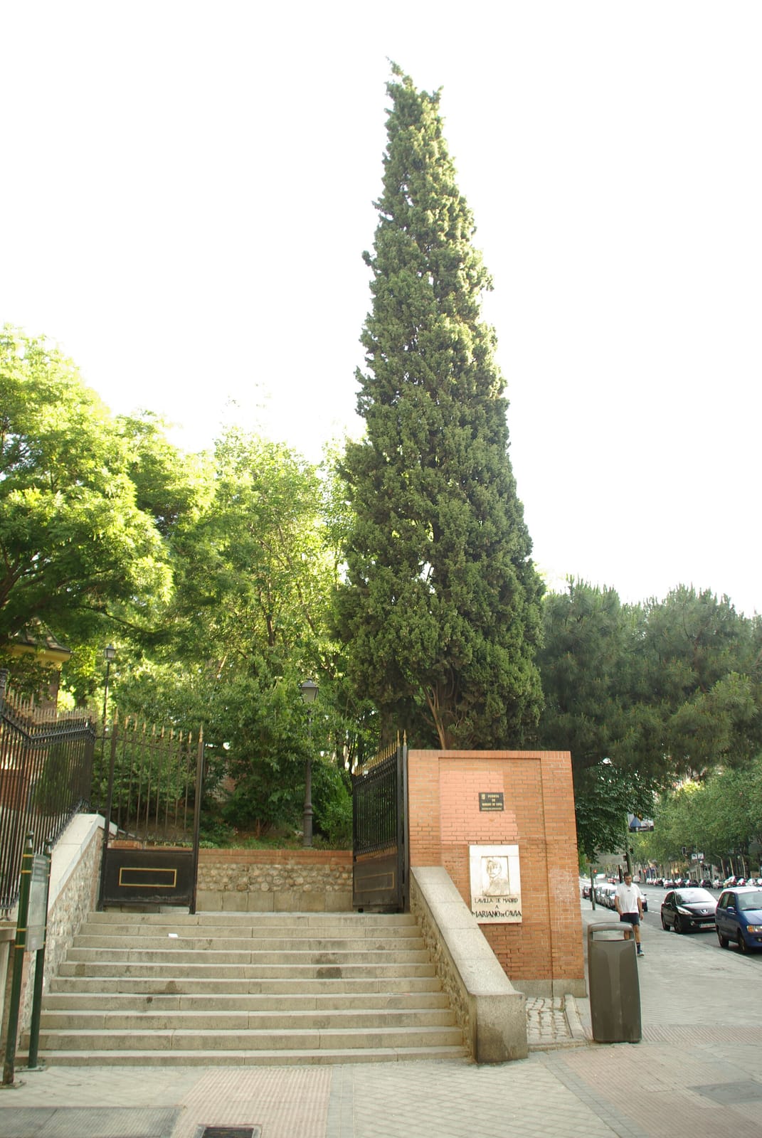 Da Enzo - Mercatino del Retiro photo 3