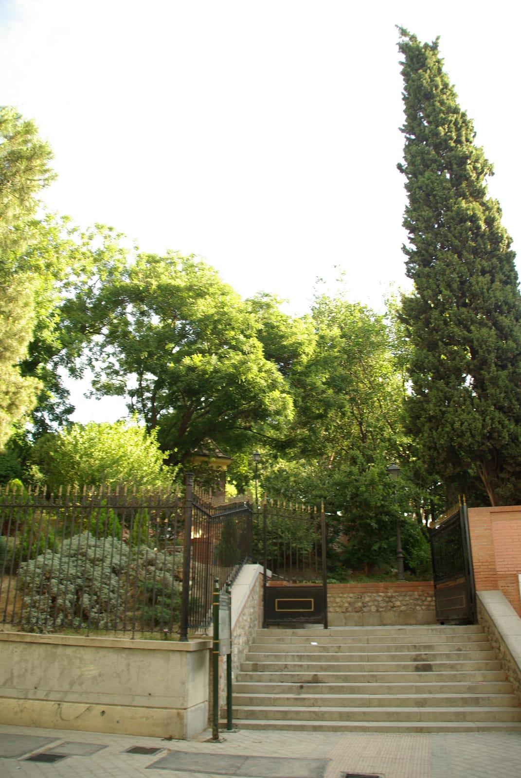 La Parisiena photo 2