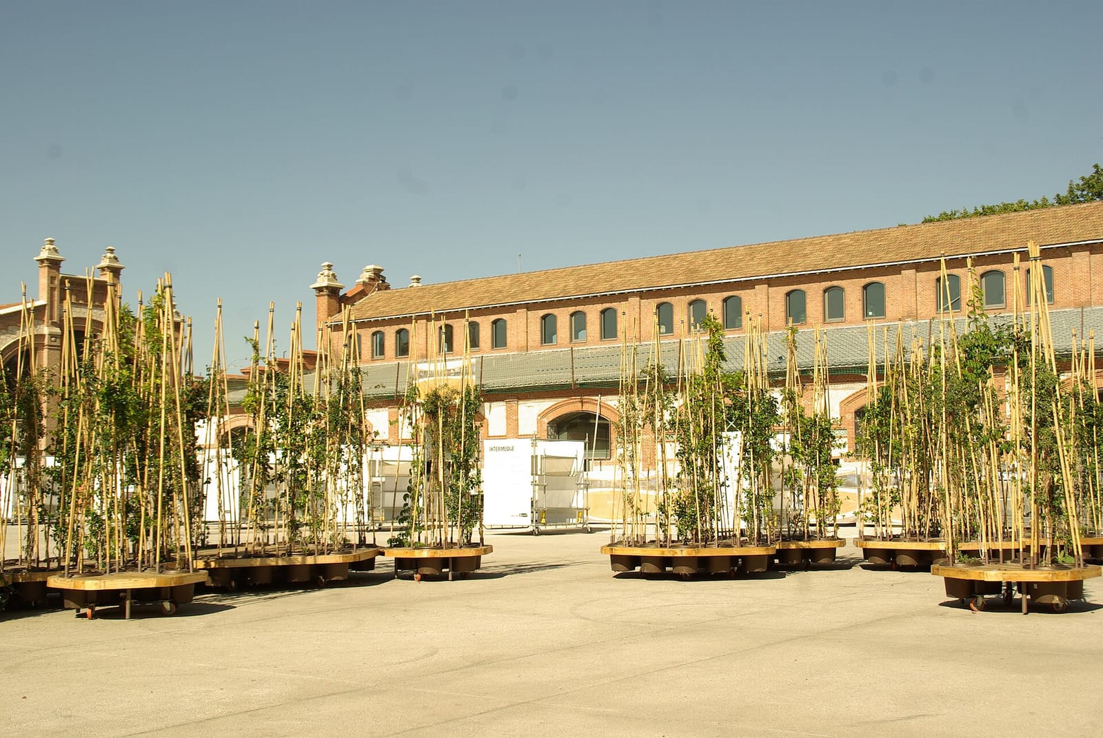 La Francachela Matadero photo 4