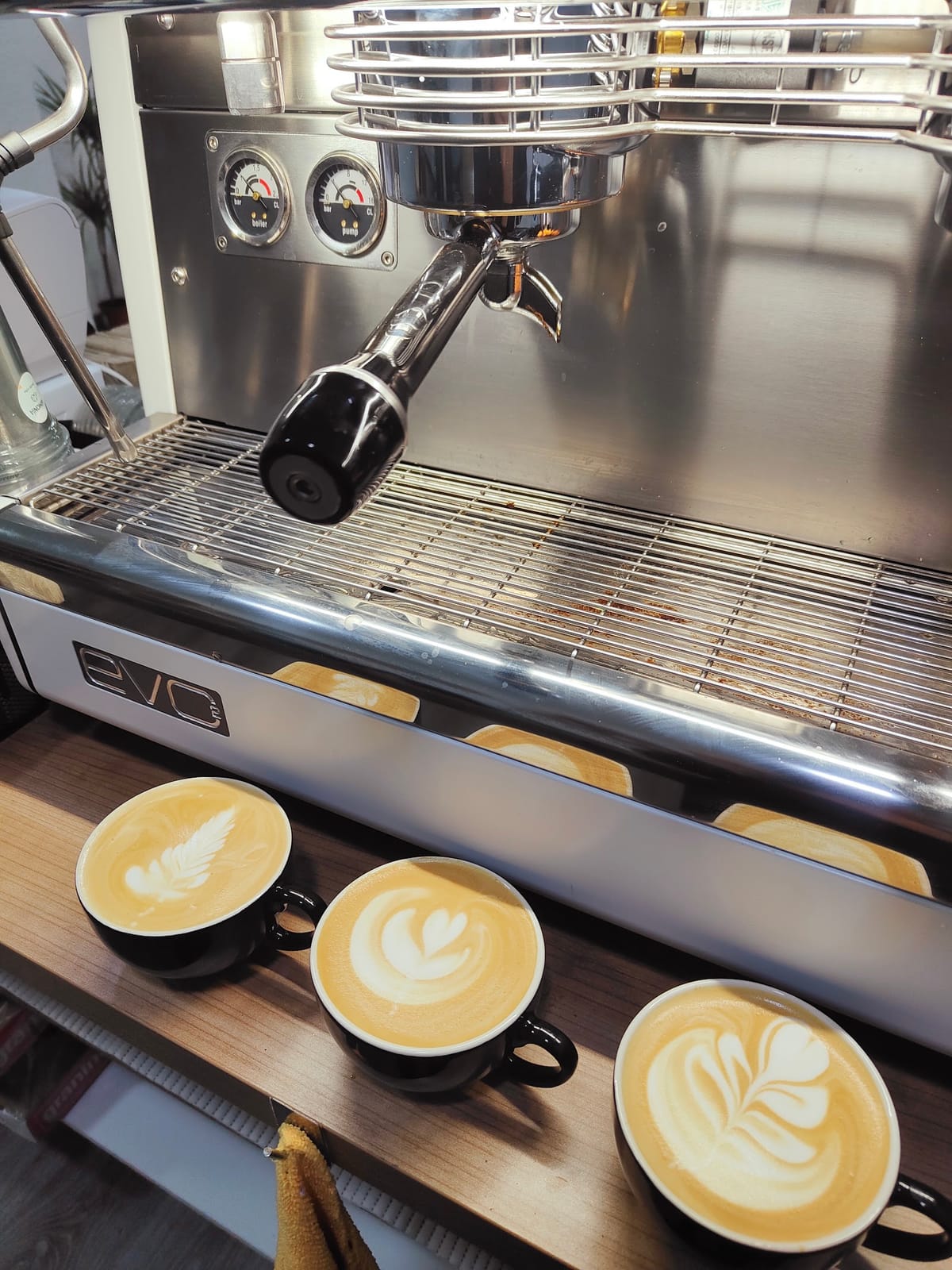 Cafe Anayad