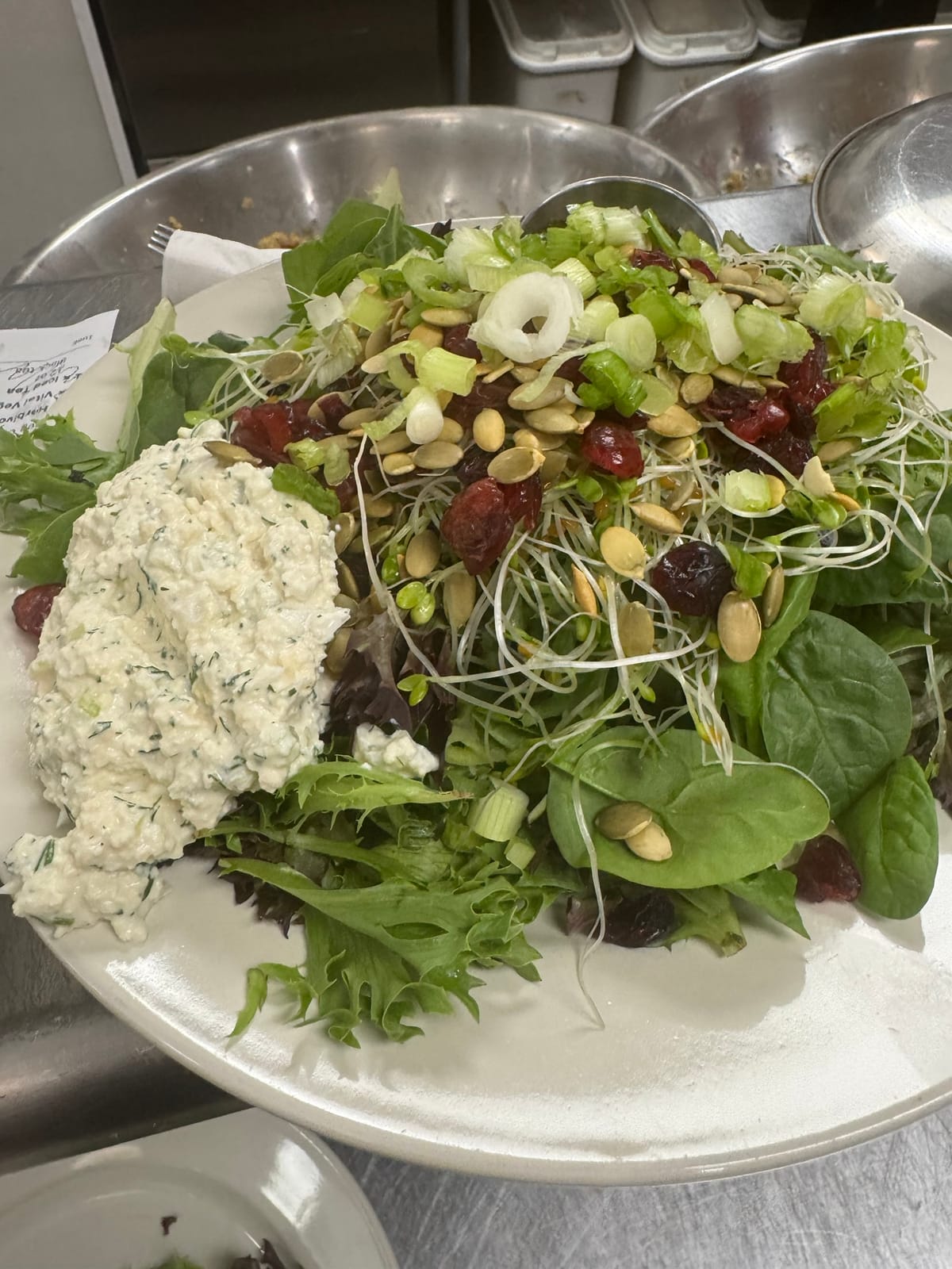 Starving Artist Cafe photo 5