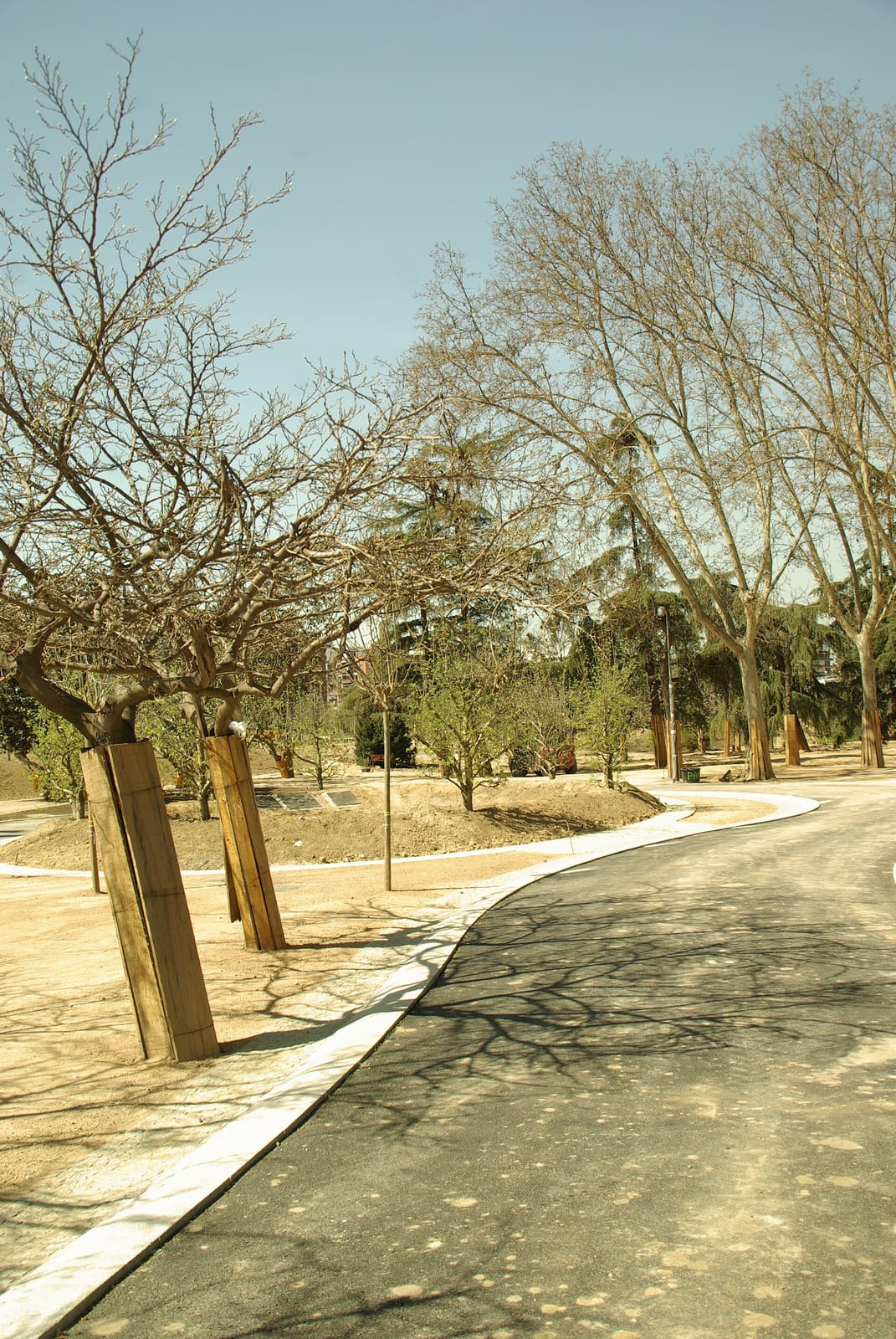 Terraza Playa photo 4