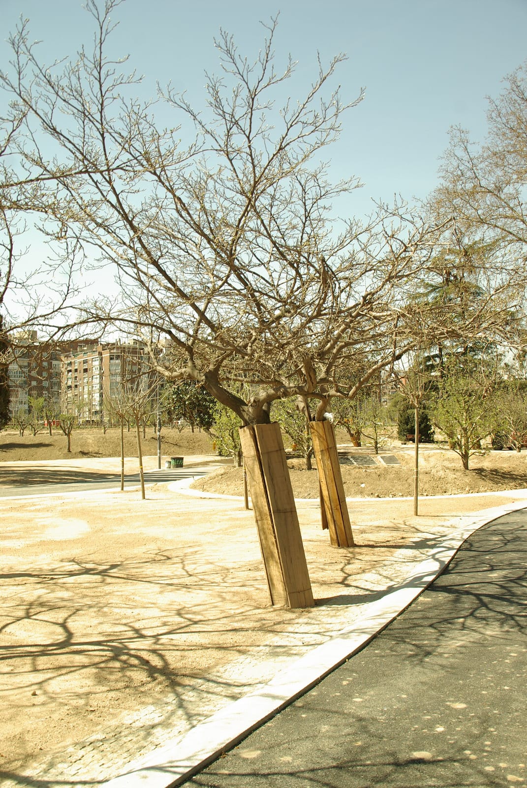 Terraza Playa photo 3