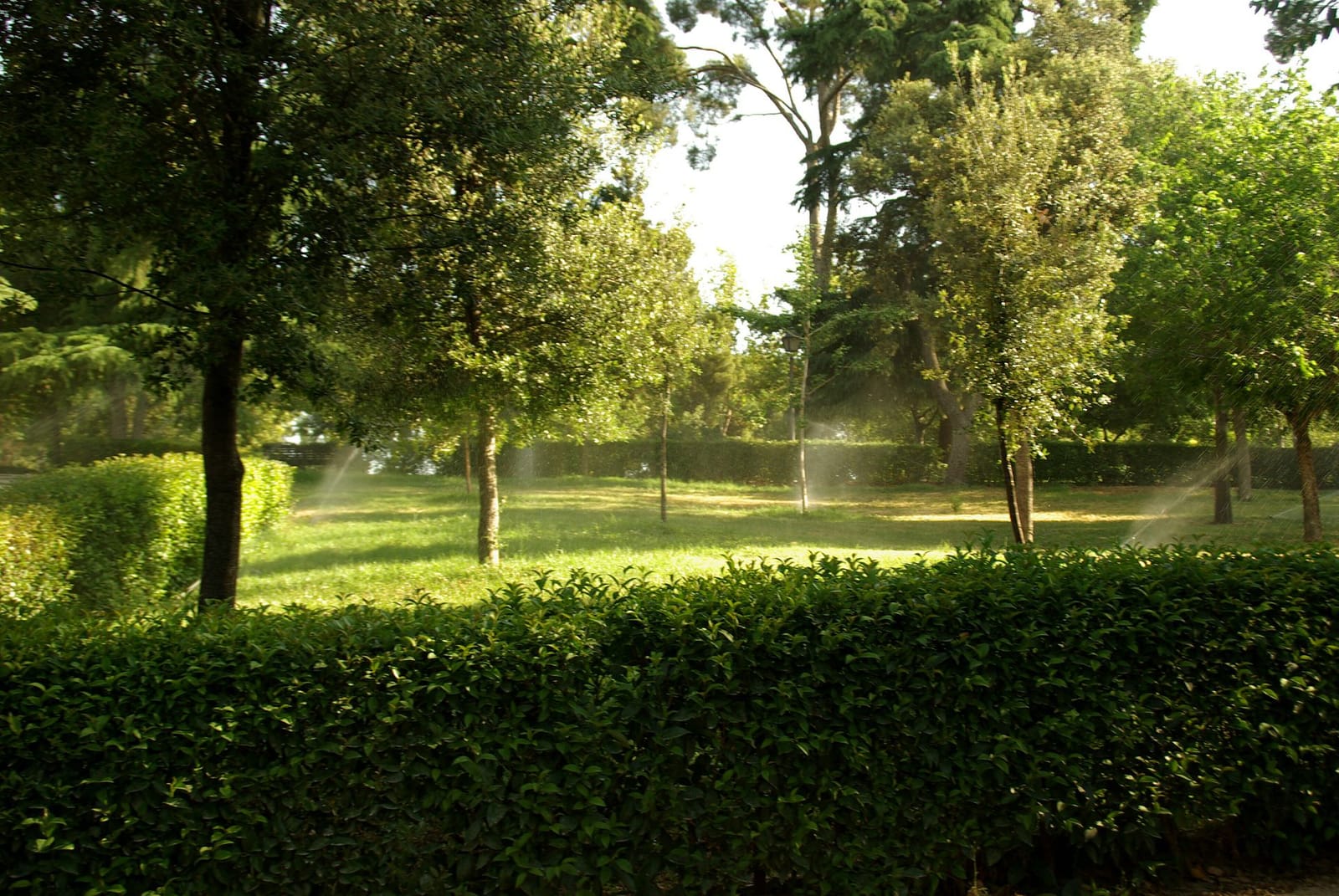Vivaz Retiro photo 4