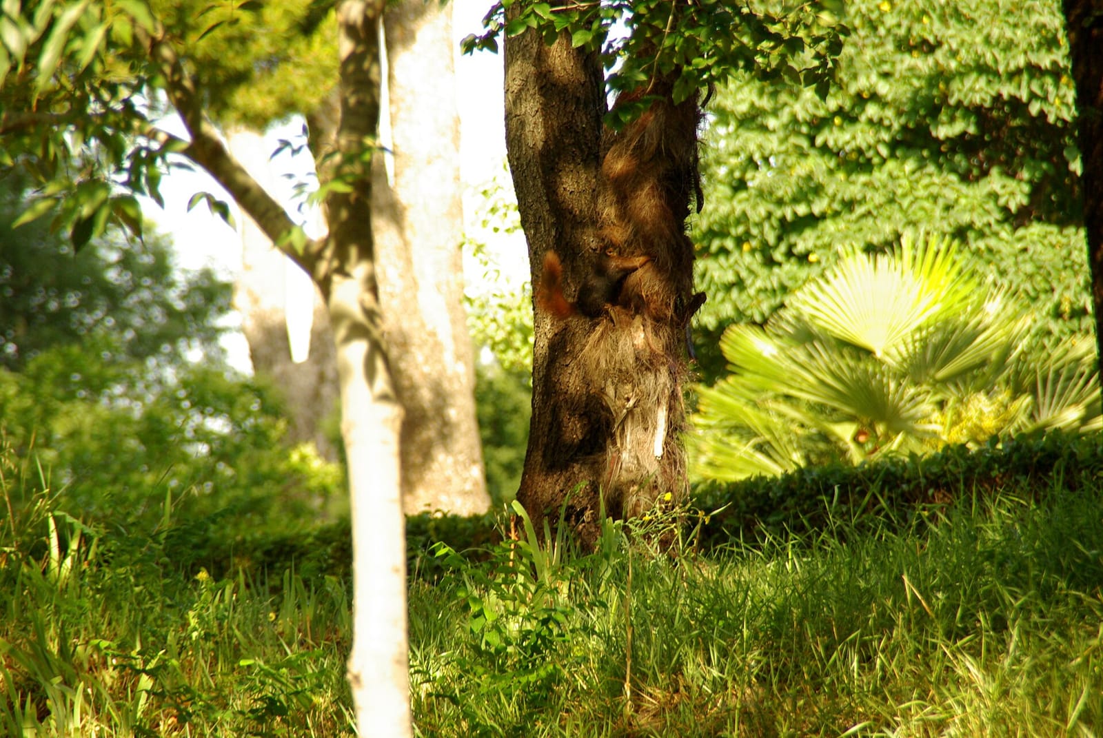 Vivaz Retiro photo 2