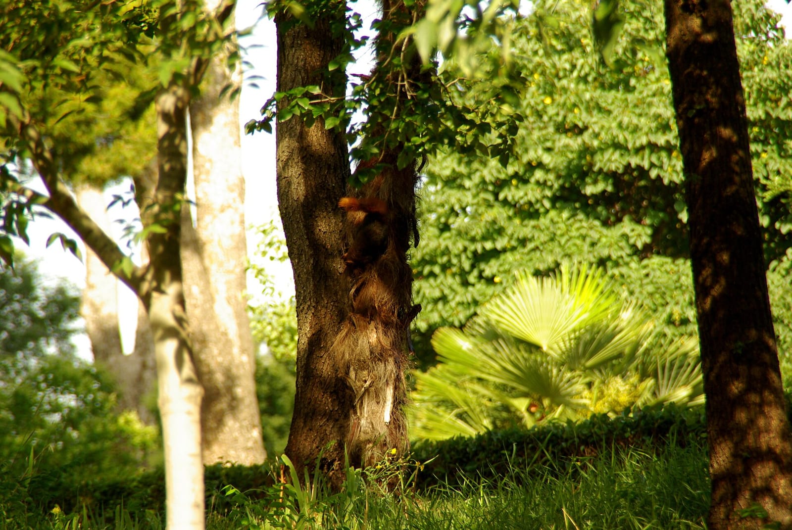 Vivaz Retiro