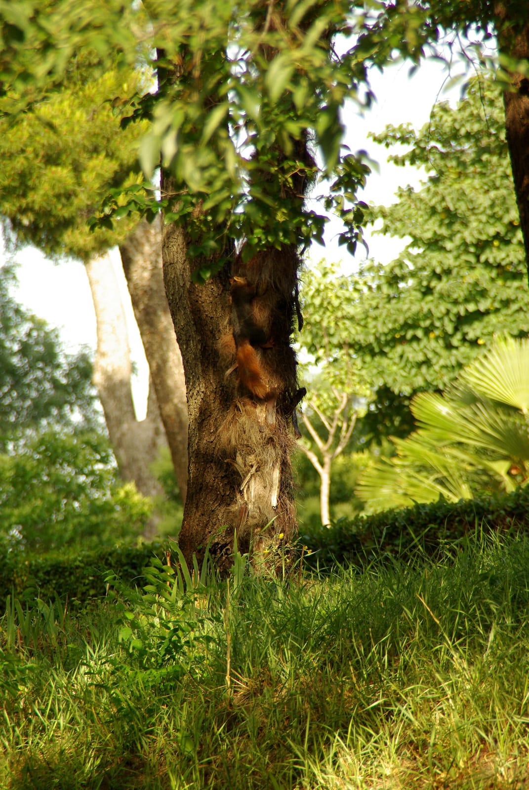 Vivaz Retiro photo 3
