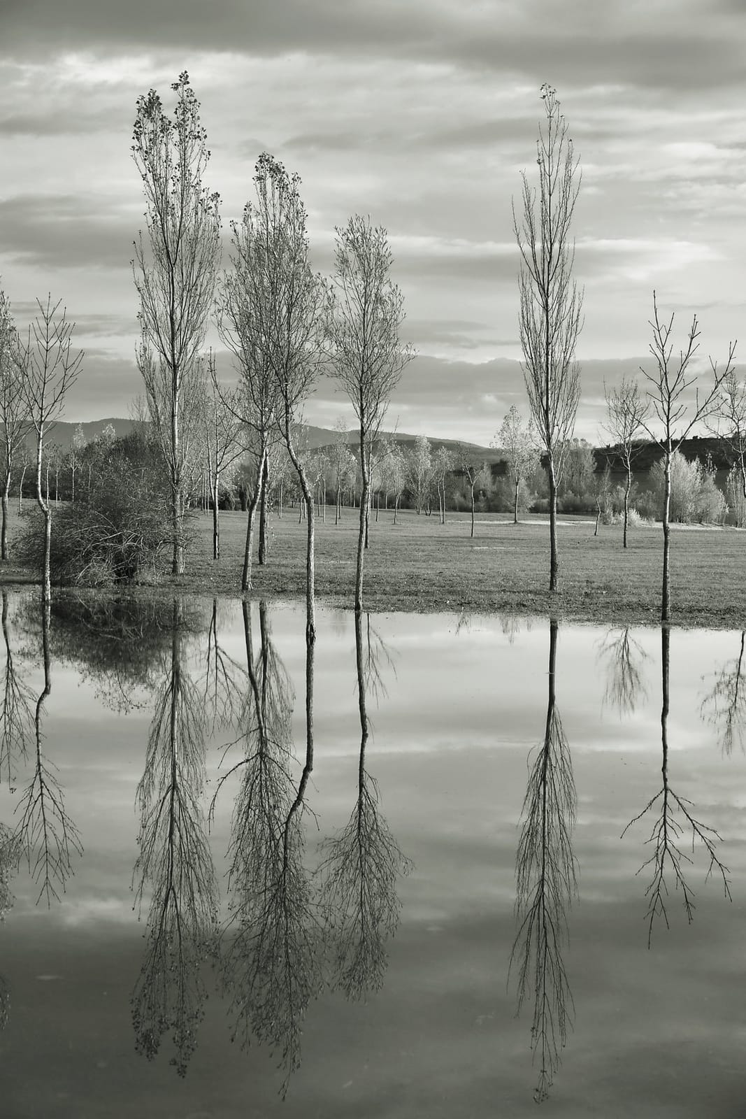 El Vagón photo 3