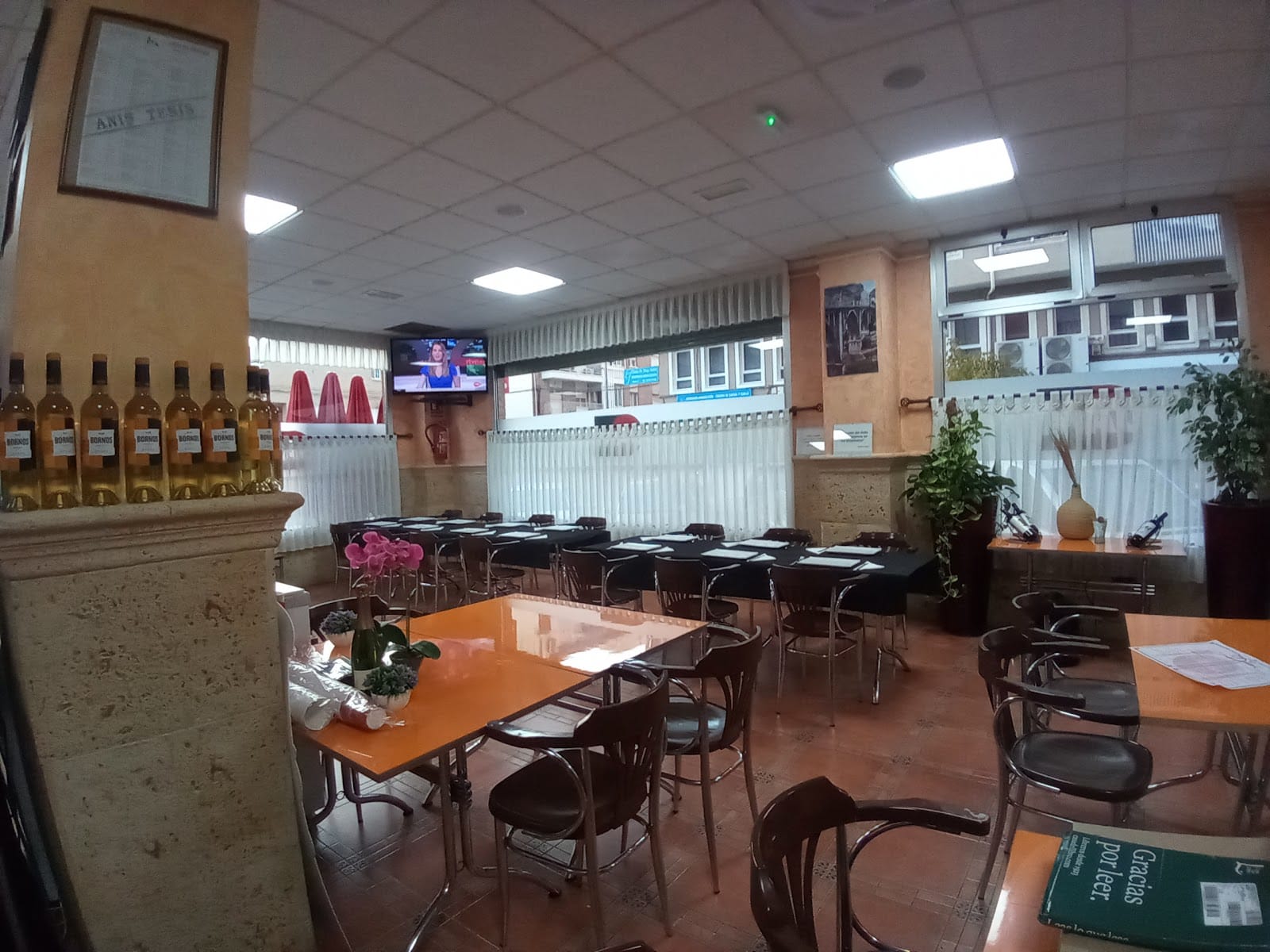 Bar Dani