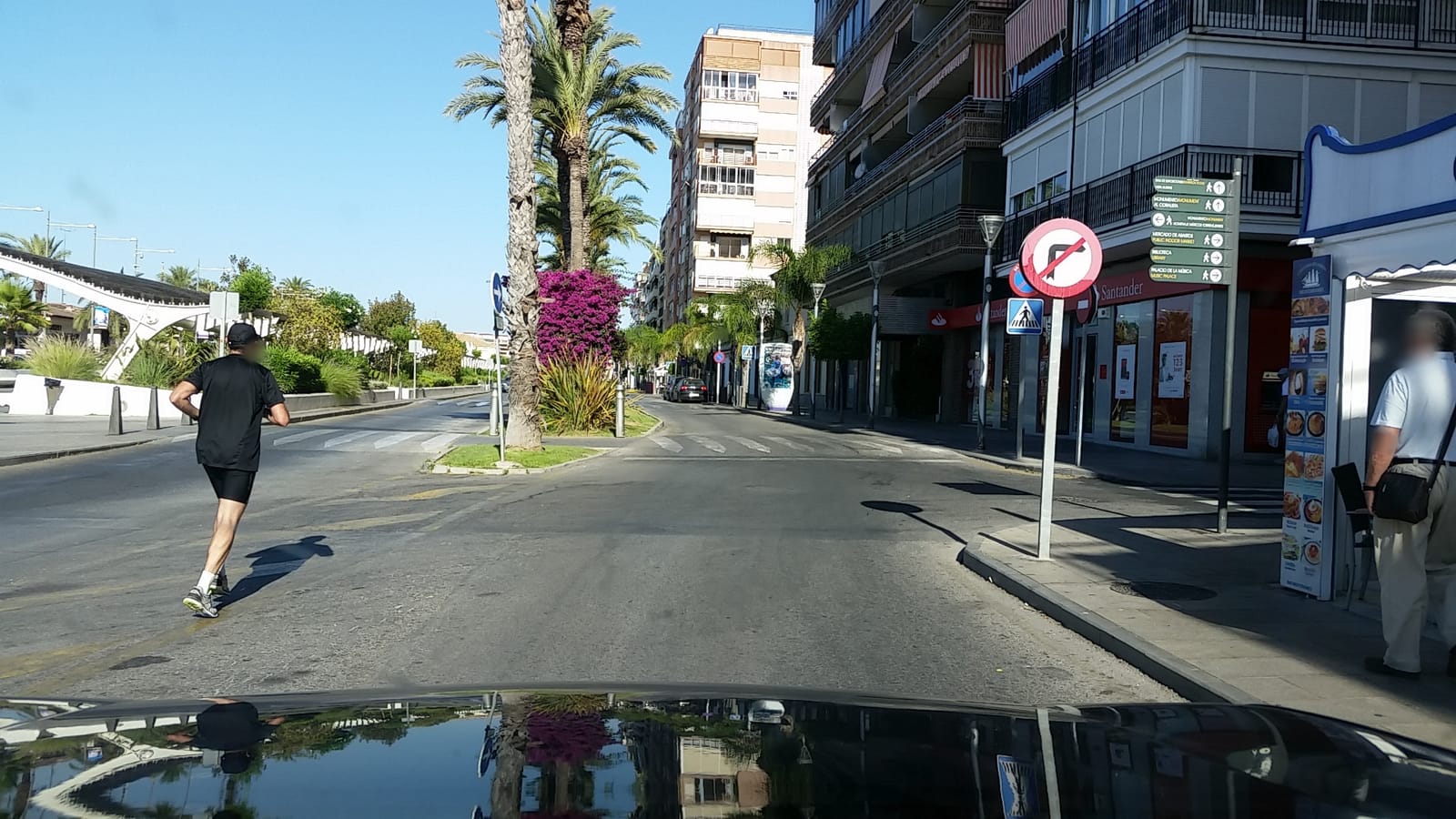 Plantaciones de origen photo 3