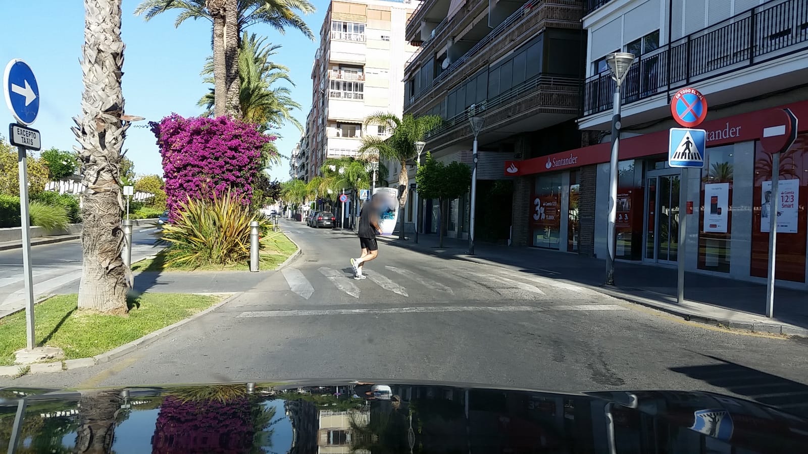 Plantaciones de origen photo 4
