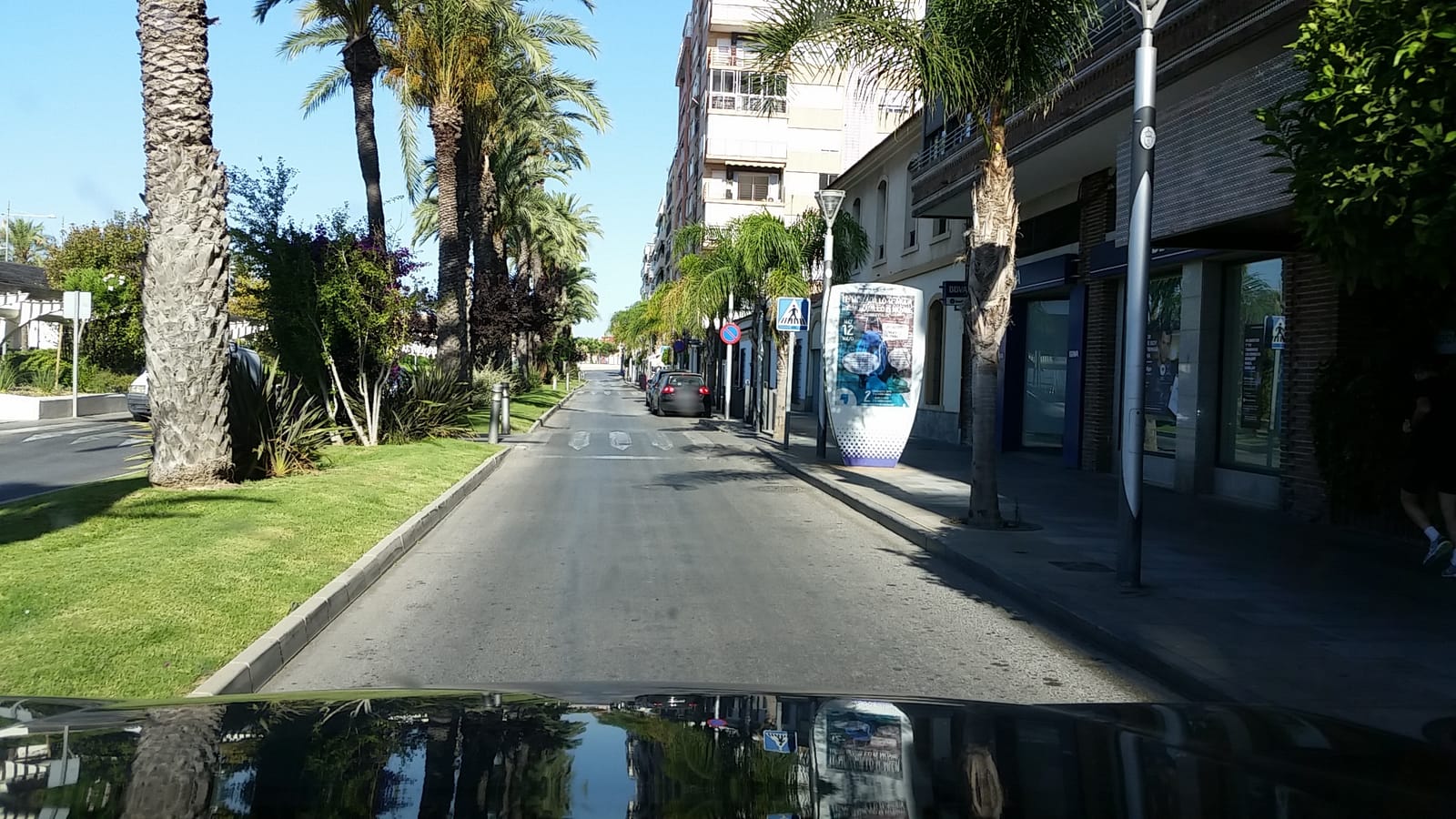 Plantaciones de origen photo 5
