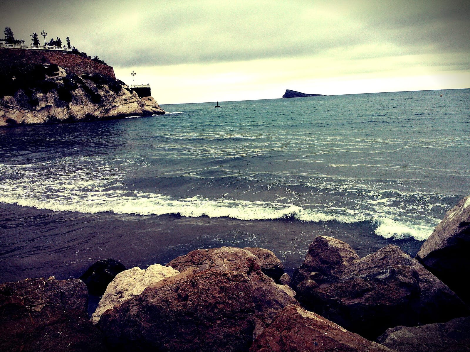 Caffe Trieste photo 4