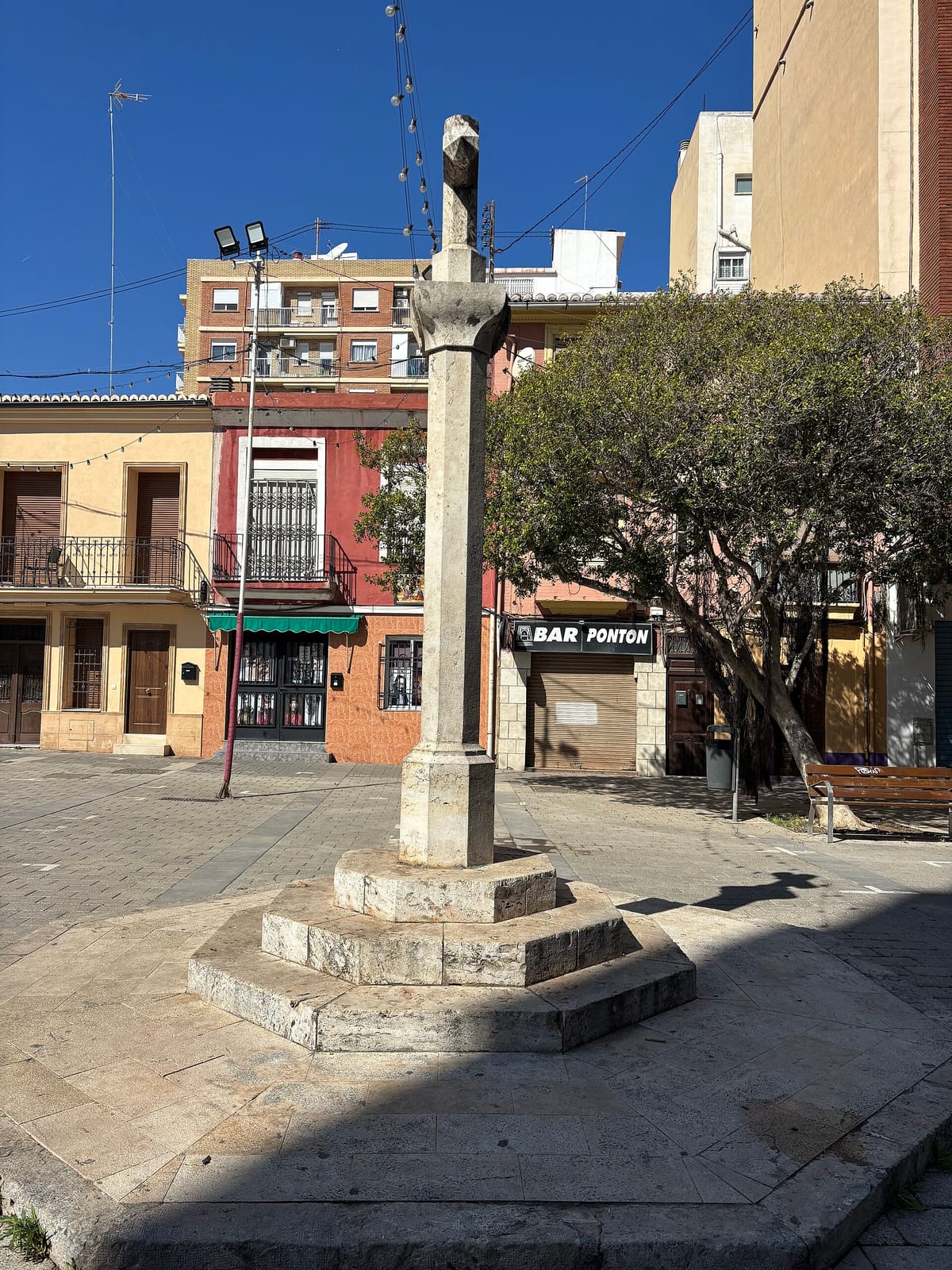 Semillas photo 4
