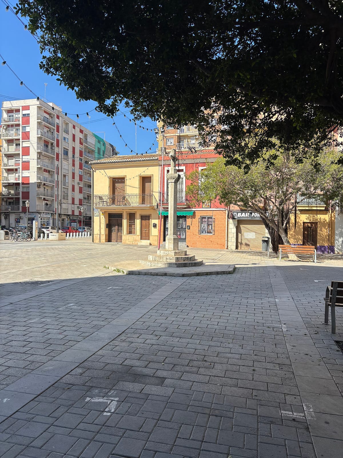 Semillas photo 3