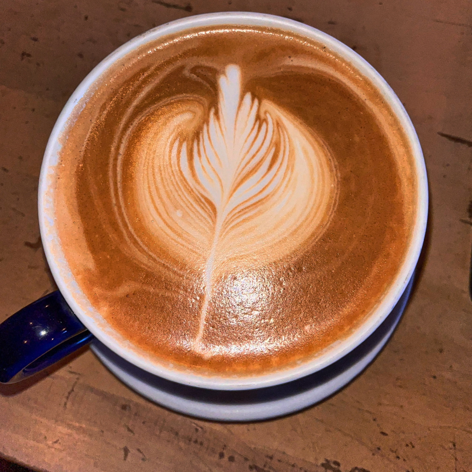 Dottie's Coffee Lounge photo 5