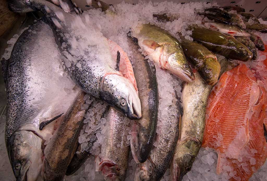 Fisherman's Food photo 3