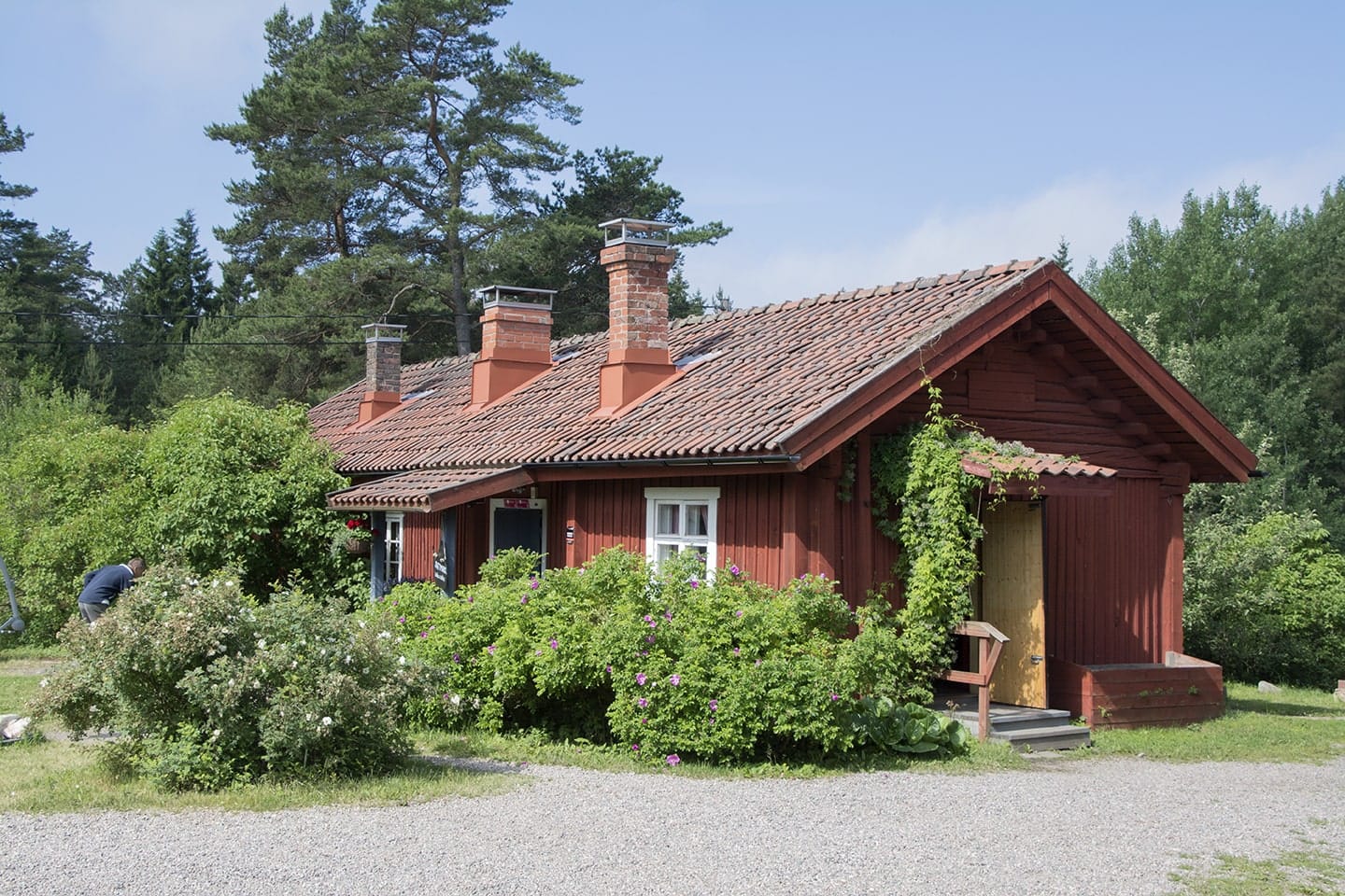 Sattmark photo 2