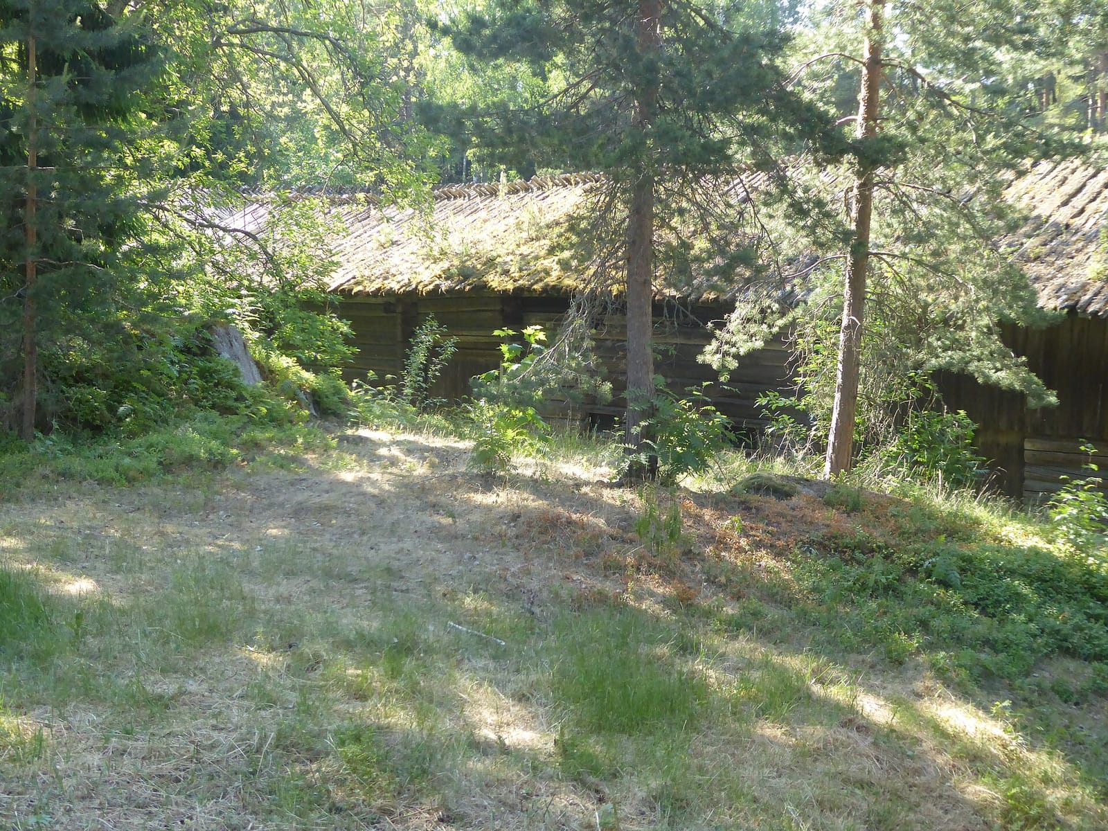 Antin Kaffeliiteri photo 4