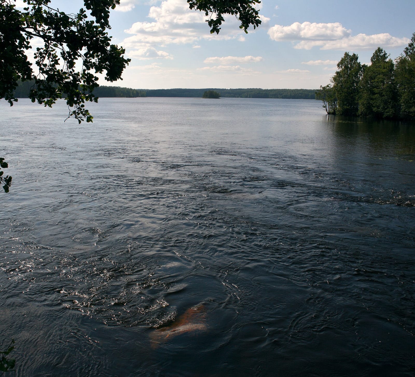 Miekankosken kahvila photo 3