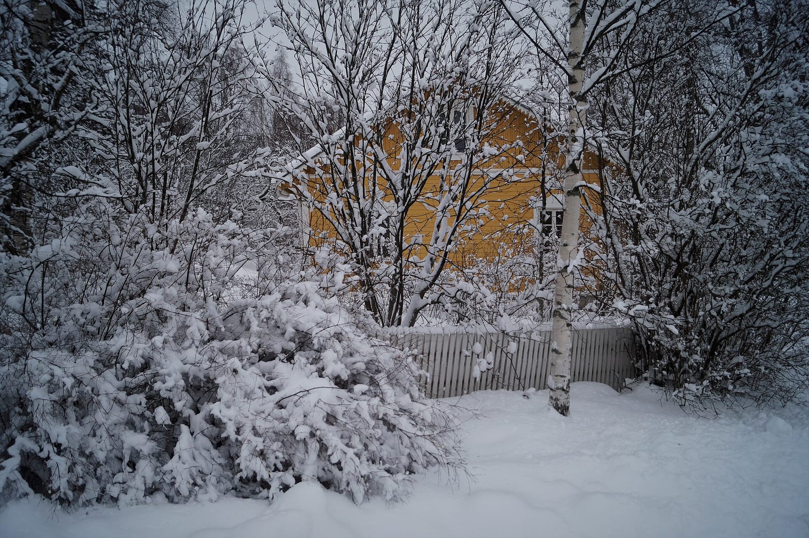 Naissaaren Upeen Kahvila photo 3