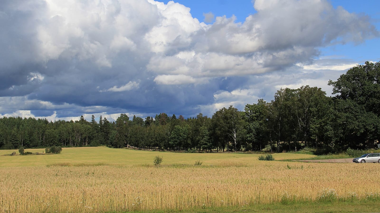 Louhisaaren Kartanon Kahvila