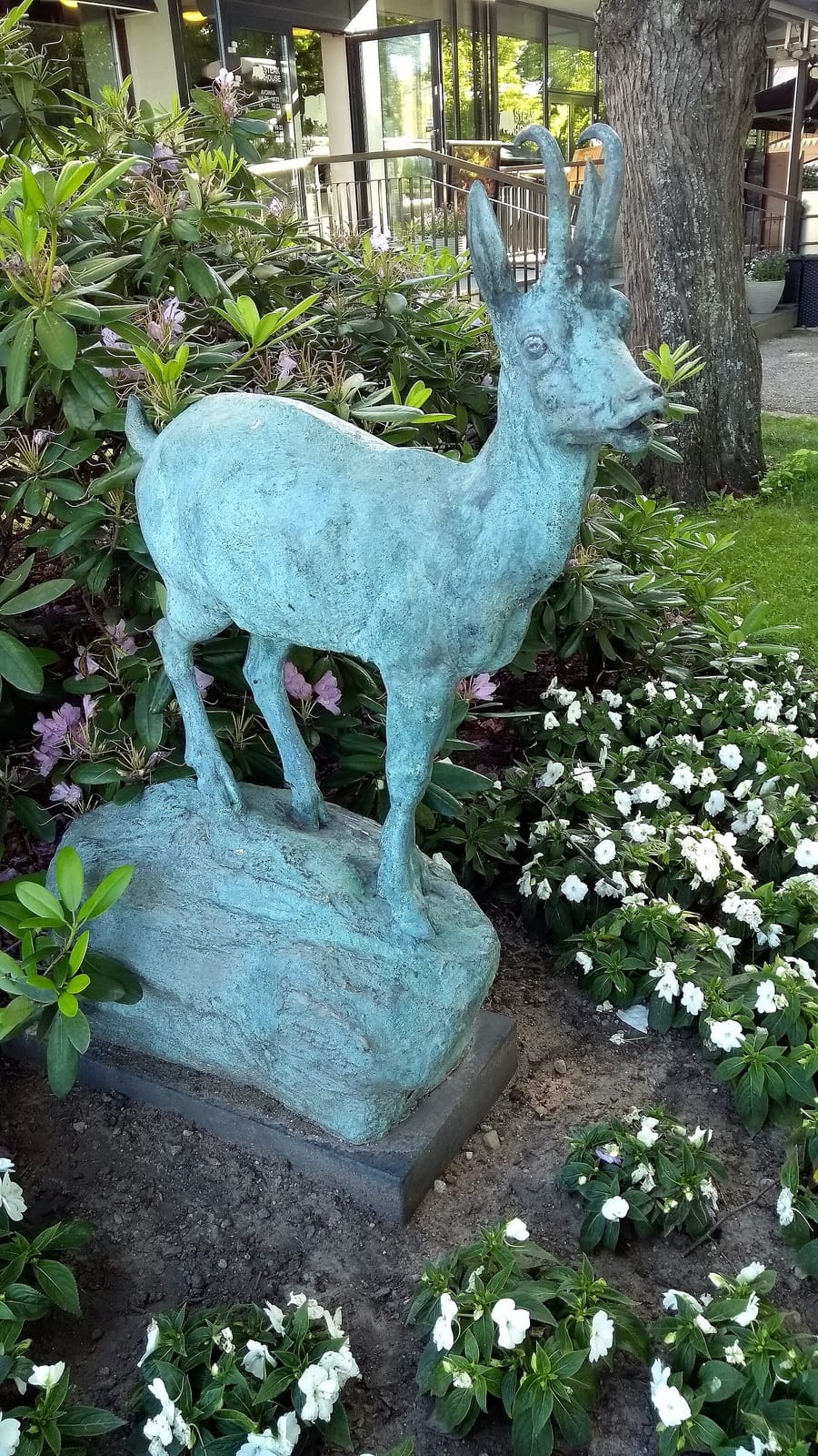 Cabriole photo 2