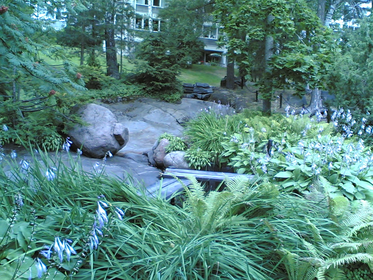 Roihuvuoren Rio photo 4
