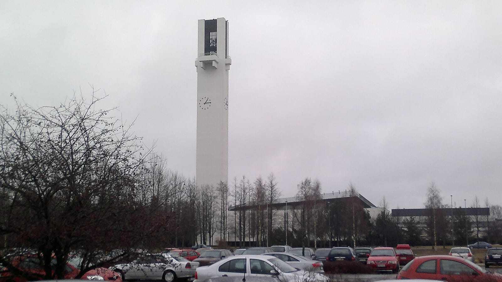 Valkoinen puu photo 2