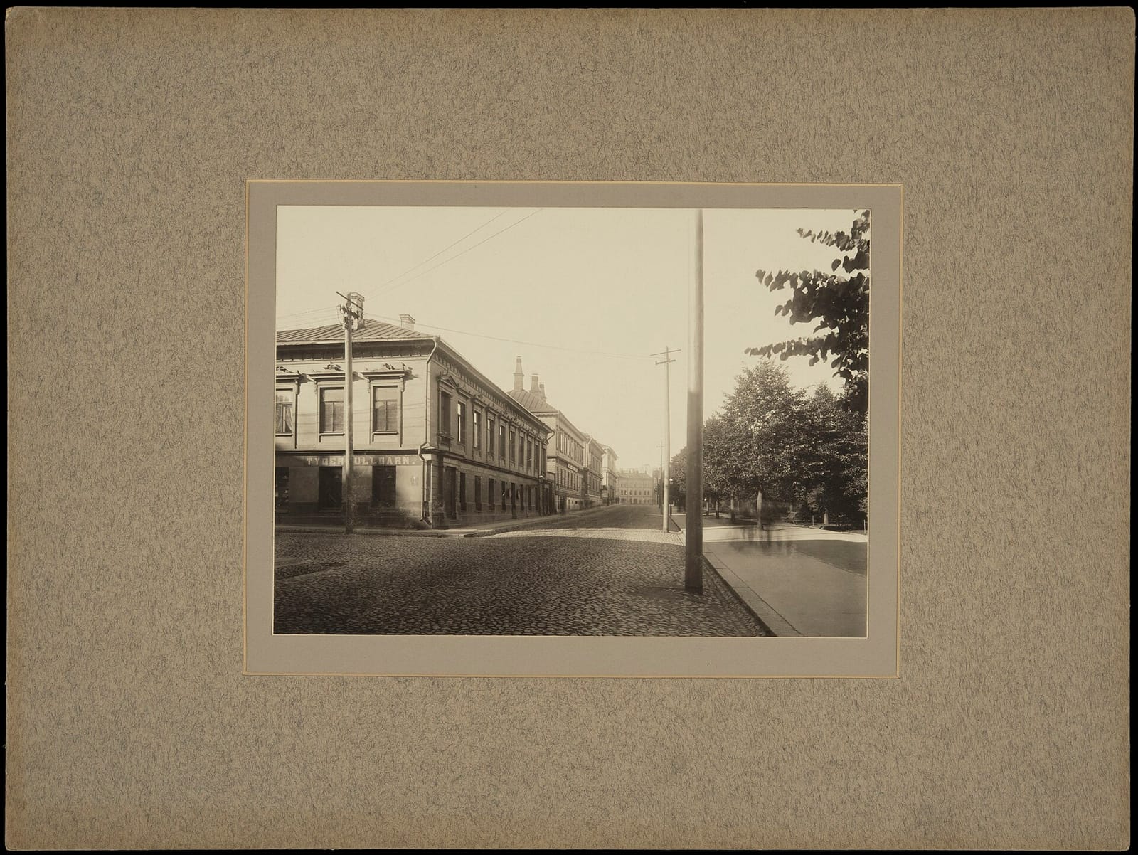 Café Savoy photo 2
