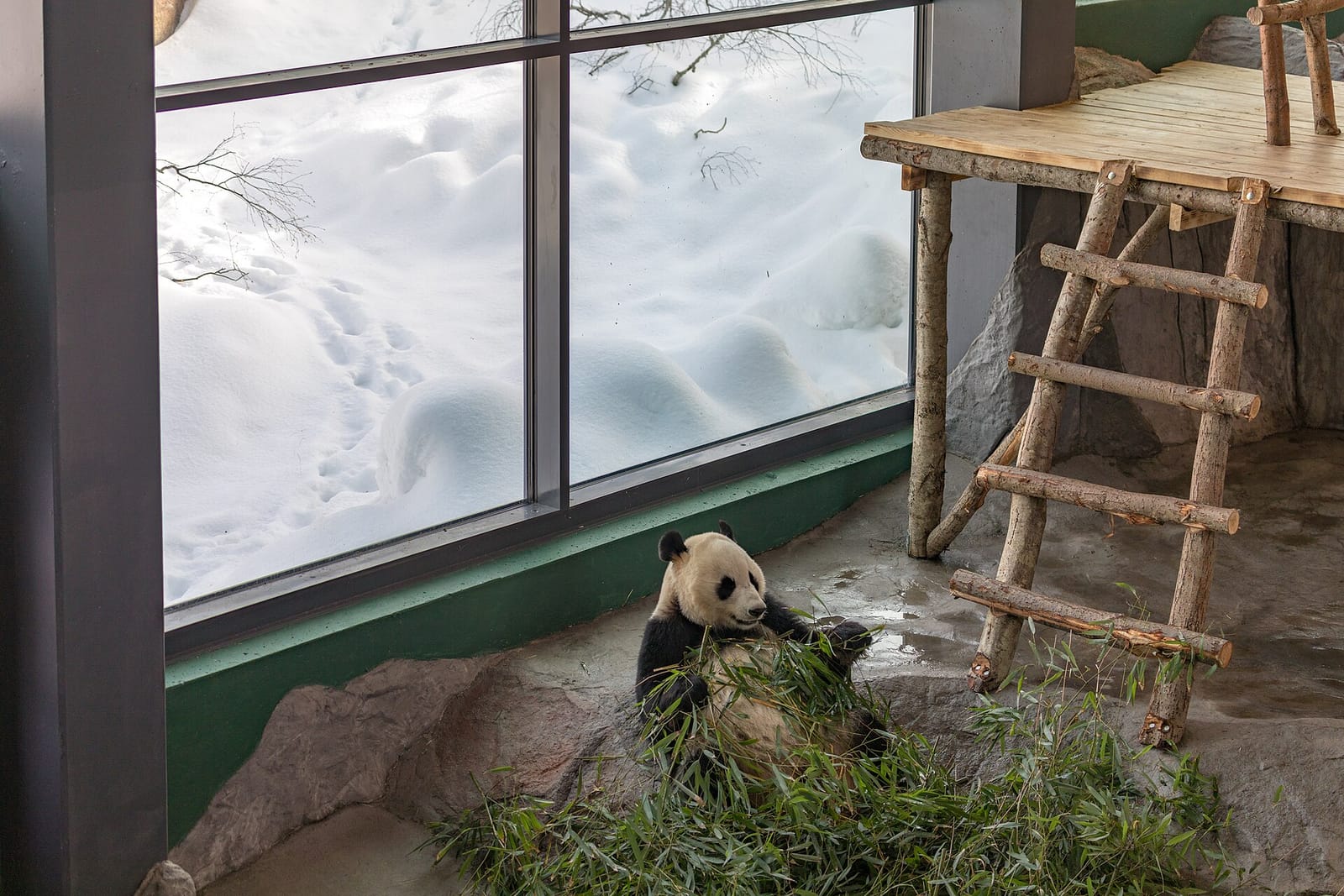 Zoo Deli & Café photo 3