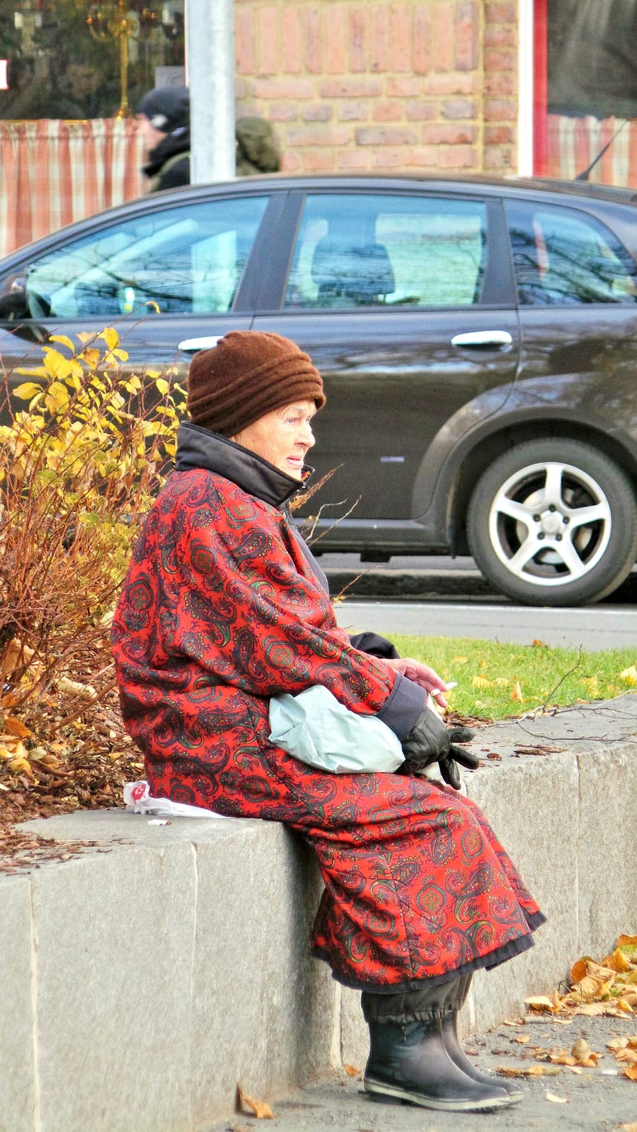 Kissakahvila Purnauskis photo 3