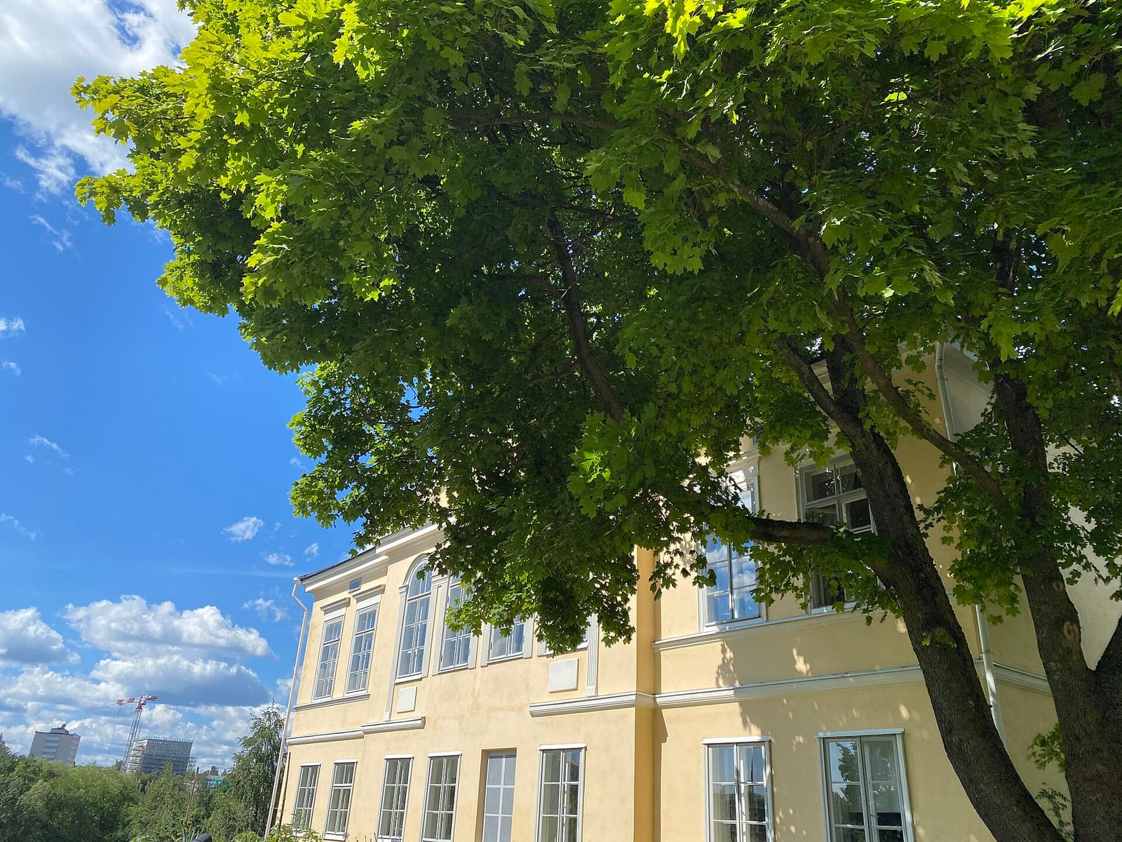 Kesäkahvila Kumpu photo 3