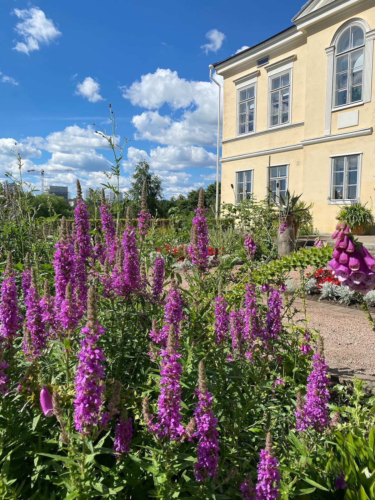 Kesäkahvila Kumpu photo 2