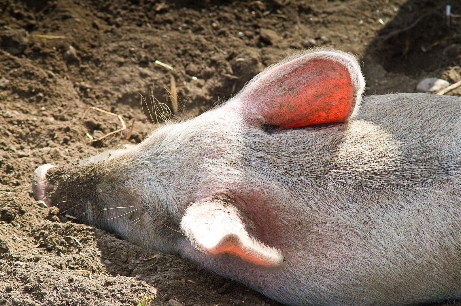 Kahvila Omena ja Kaneli photo 2