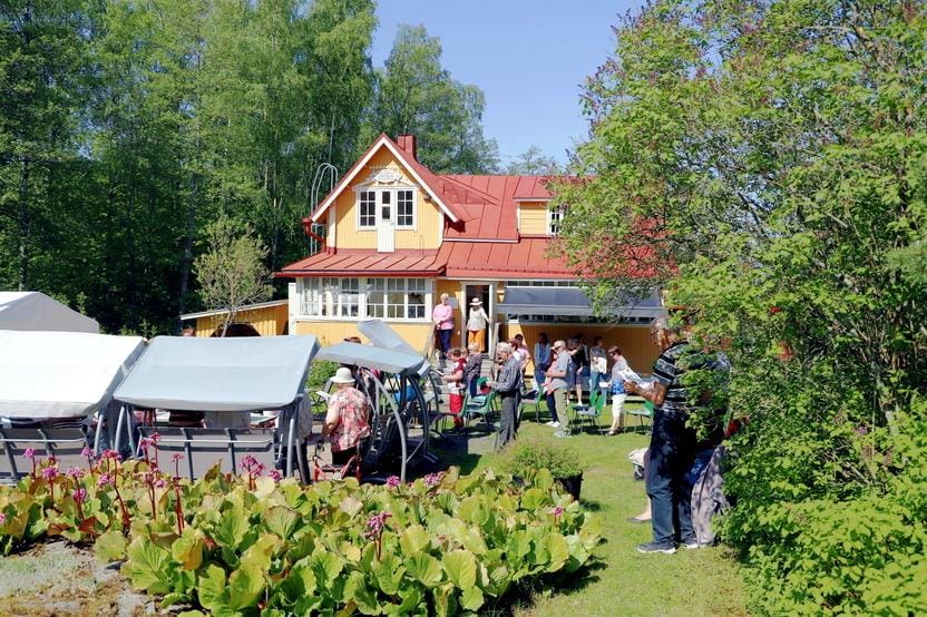 Lehtola photo 2