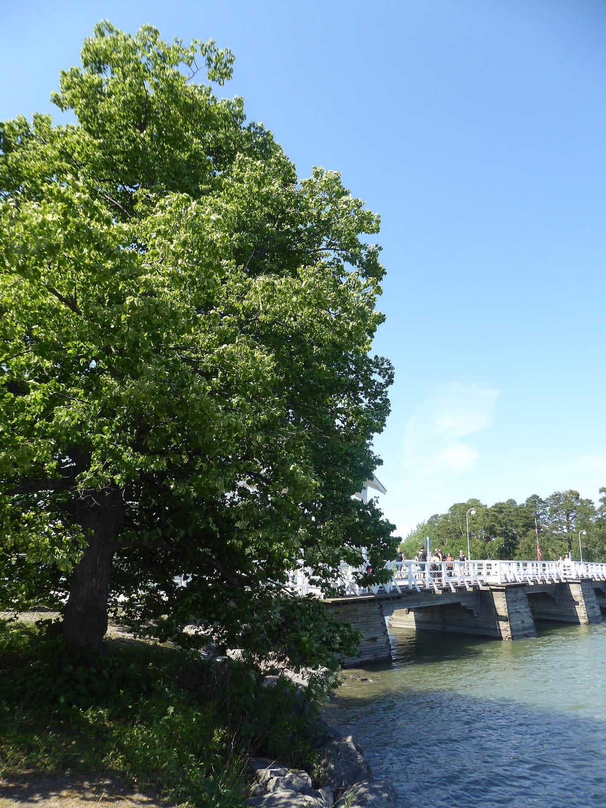Kahvila Mieritz photo 4