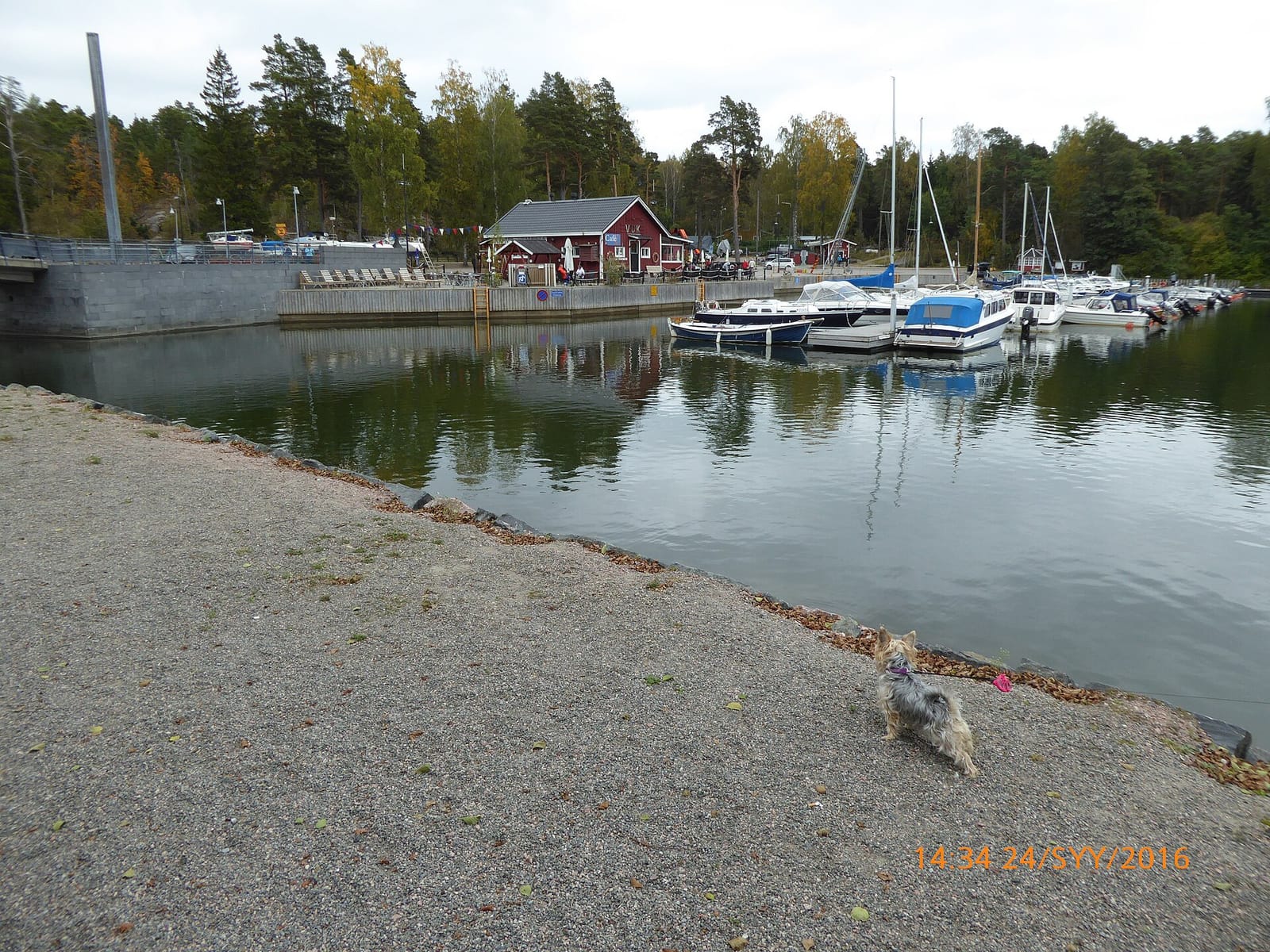 Kahvila Kampela