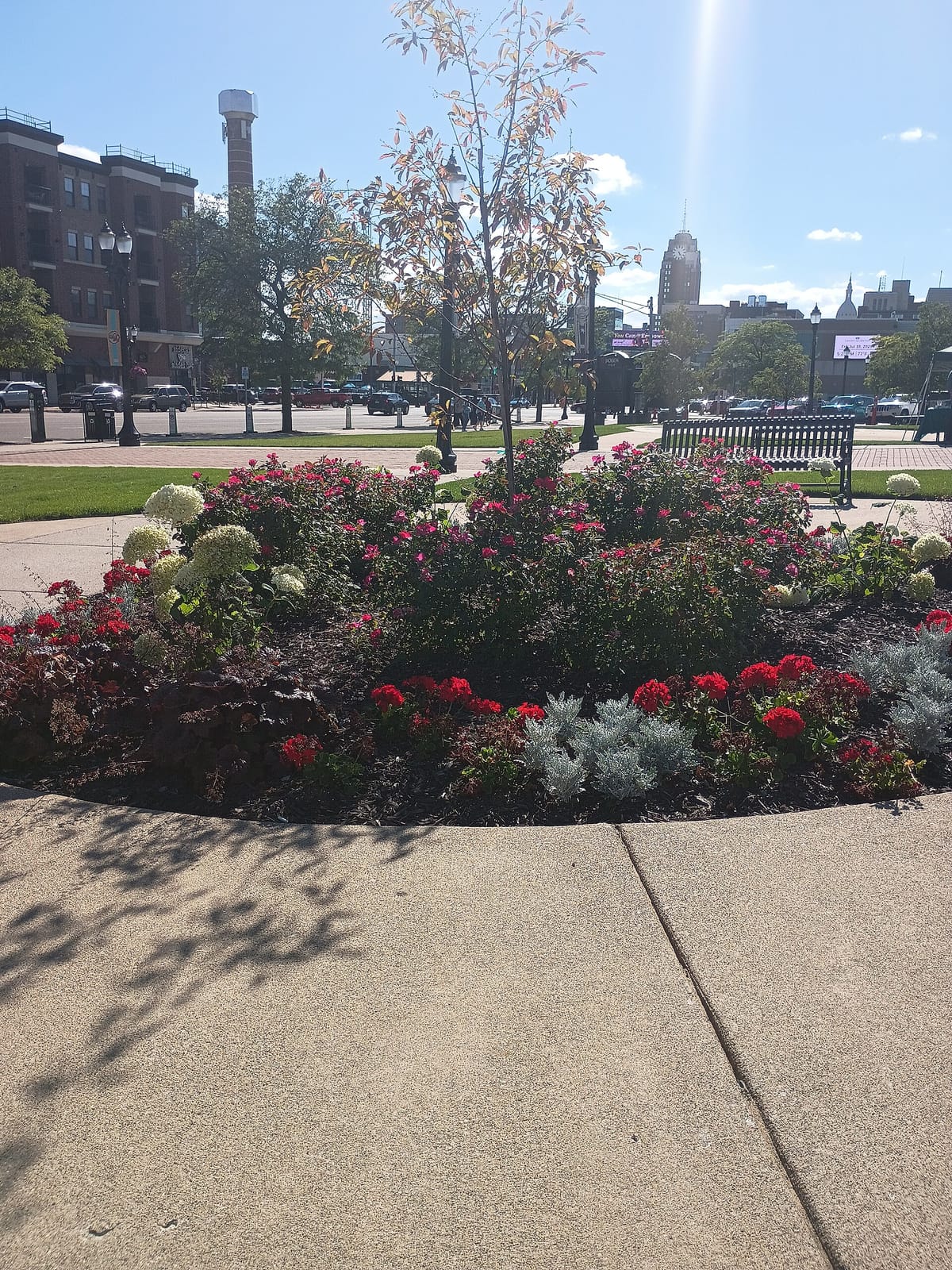 Biggby Coffee photo 11