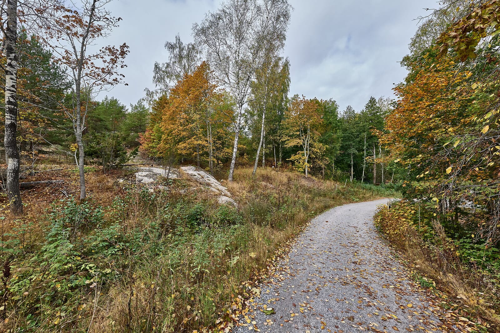 Jäätelökahvila Paja
