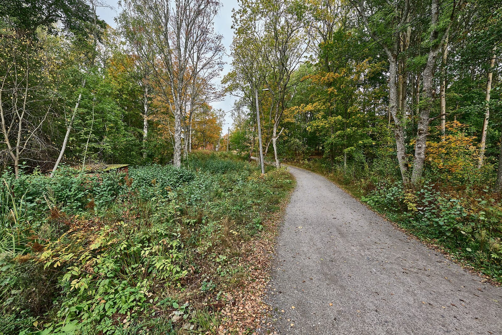 Jäätelökahvila Paja photo 2