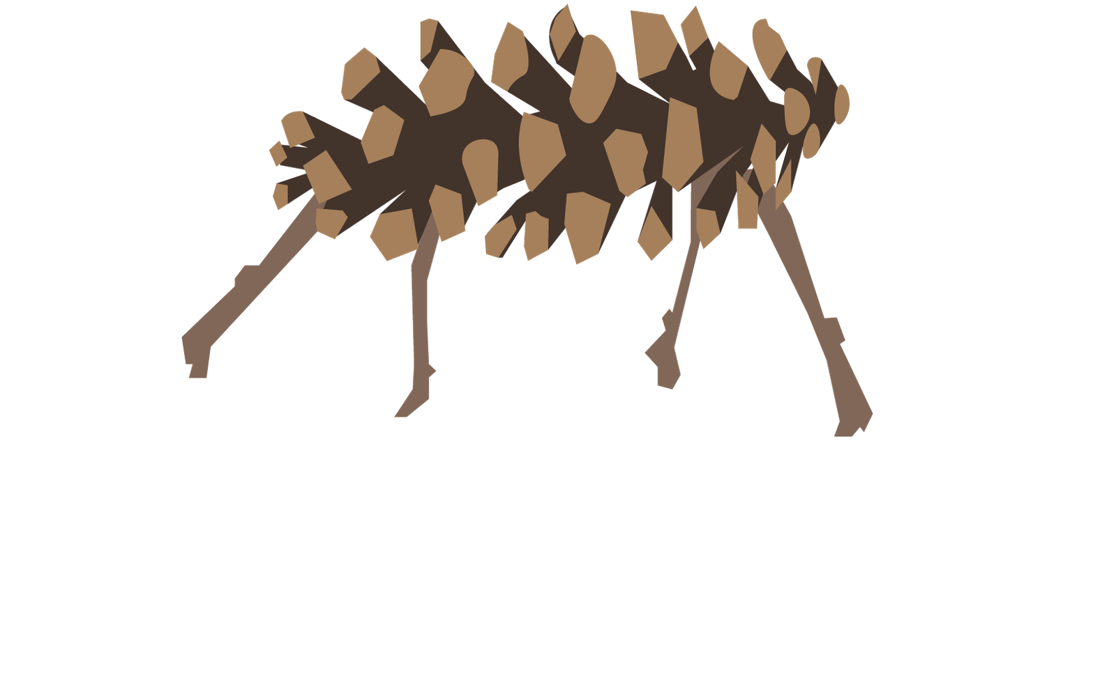 Laelta photo 2
