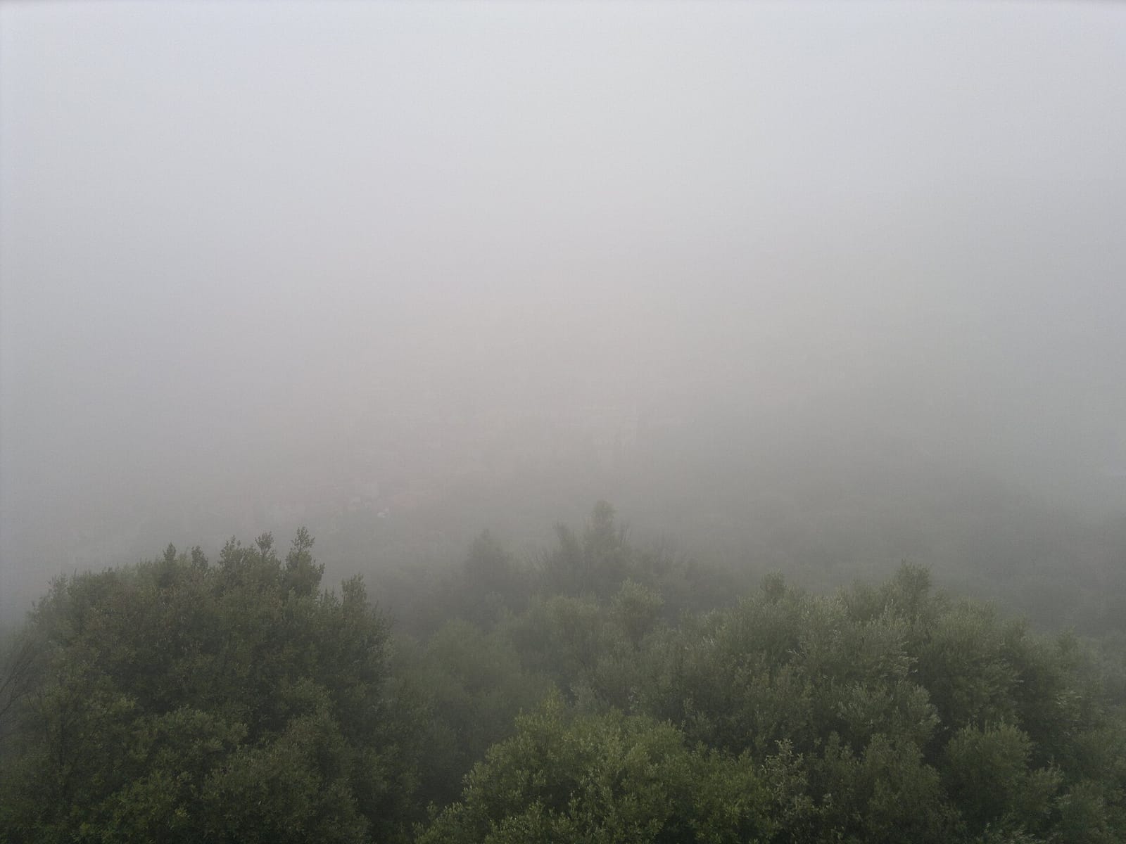 La Régence photo 3