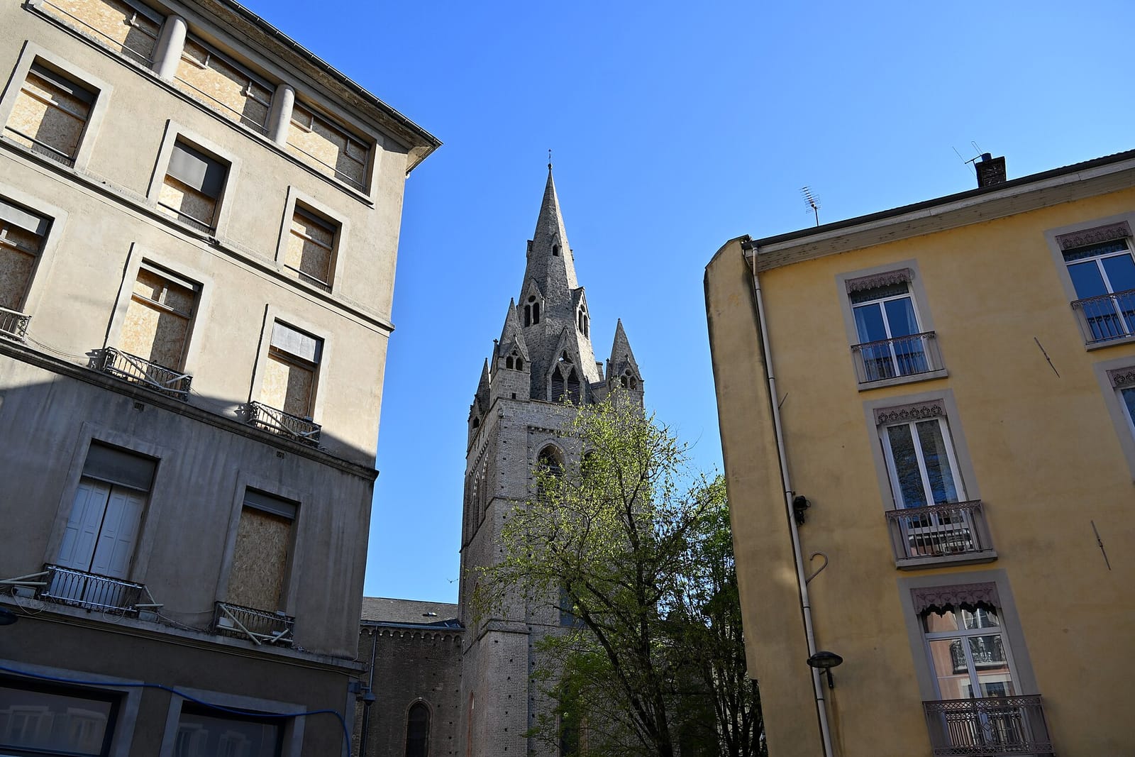 Café de la Mairie photo 4