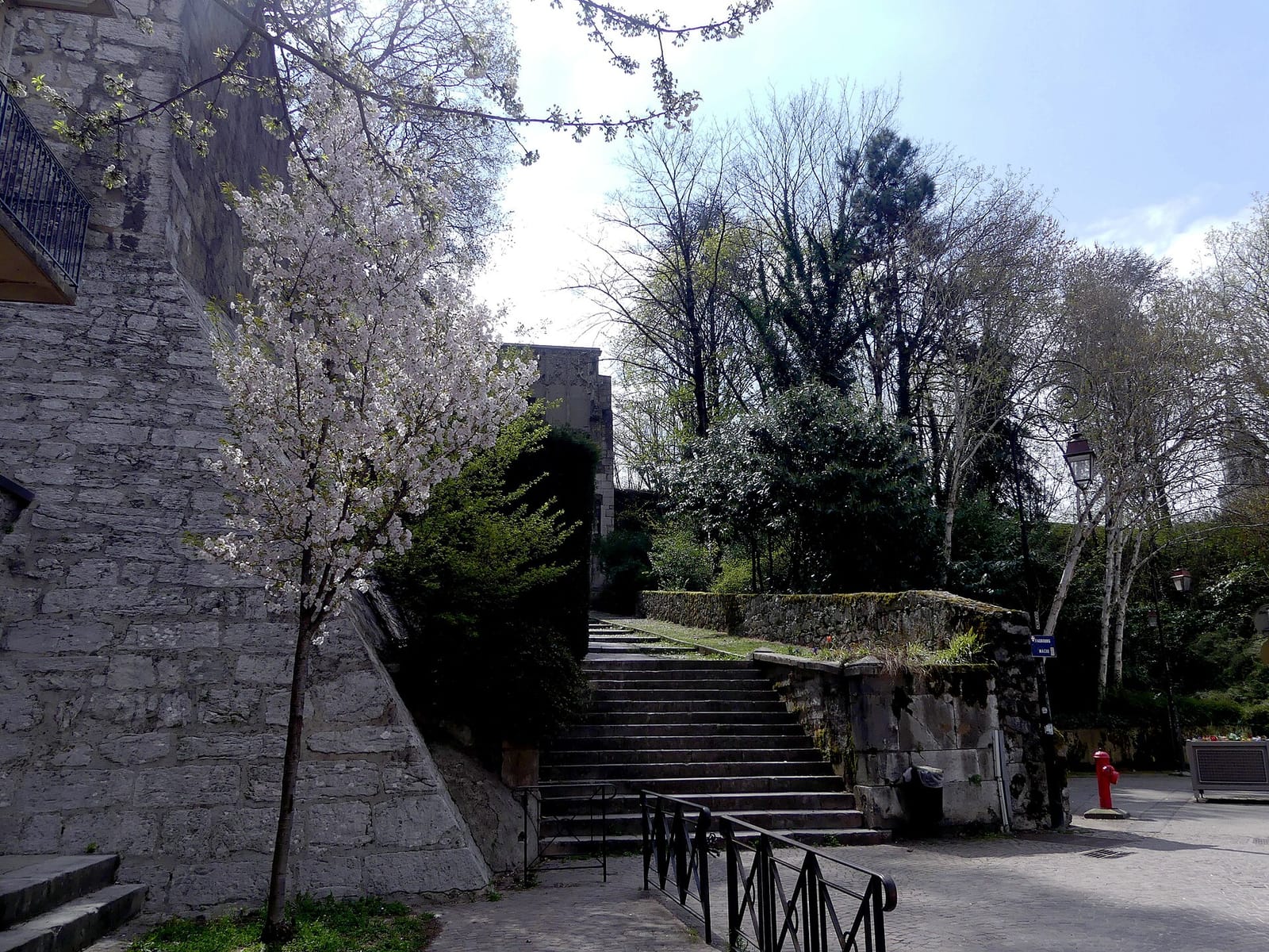 La Main à la patte photo 6