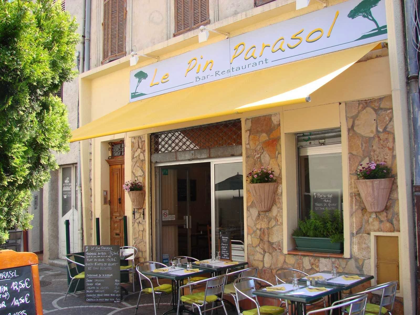 Le Pin Parasol