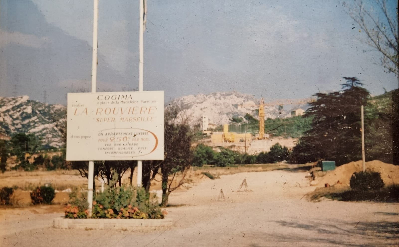 Bonino café photo 3