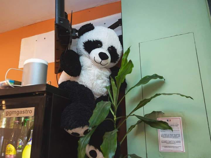 Sweet Panda photo 8