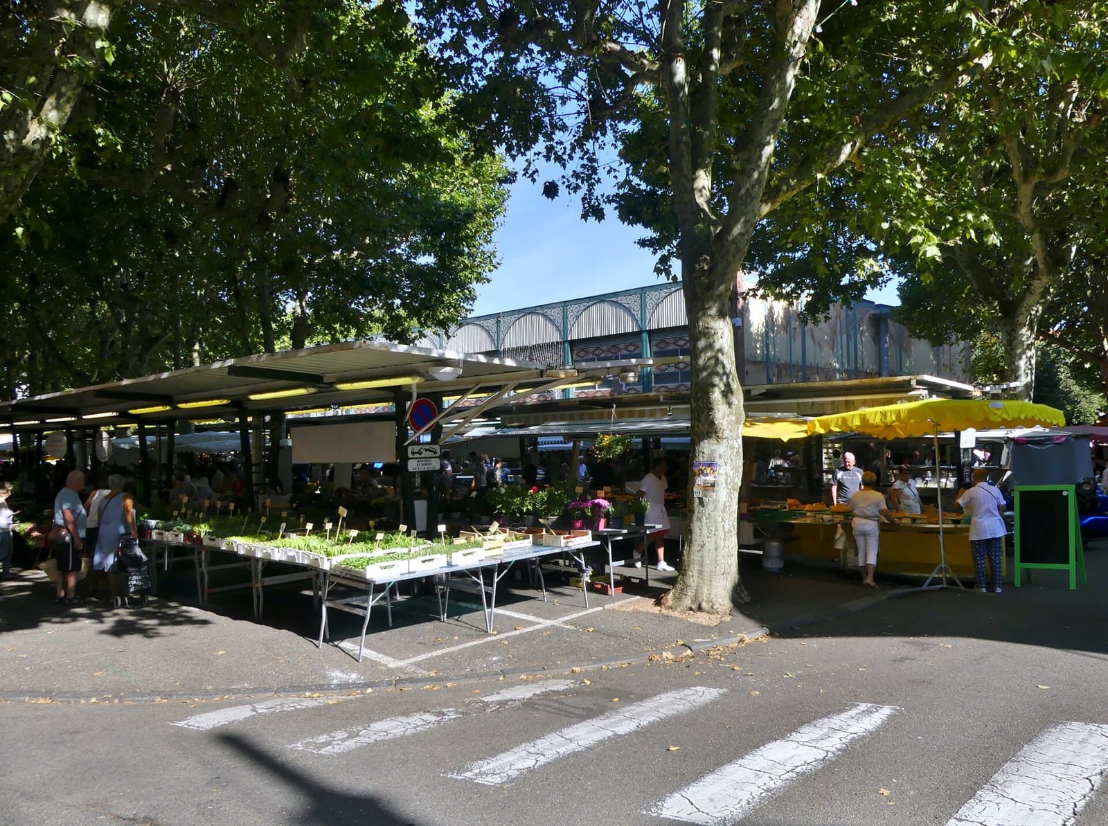 Théothèque photo 2